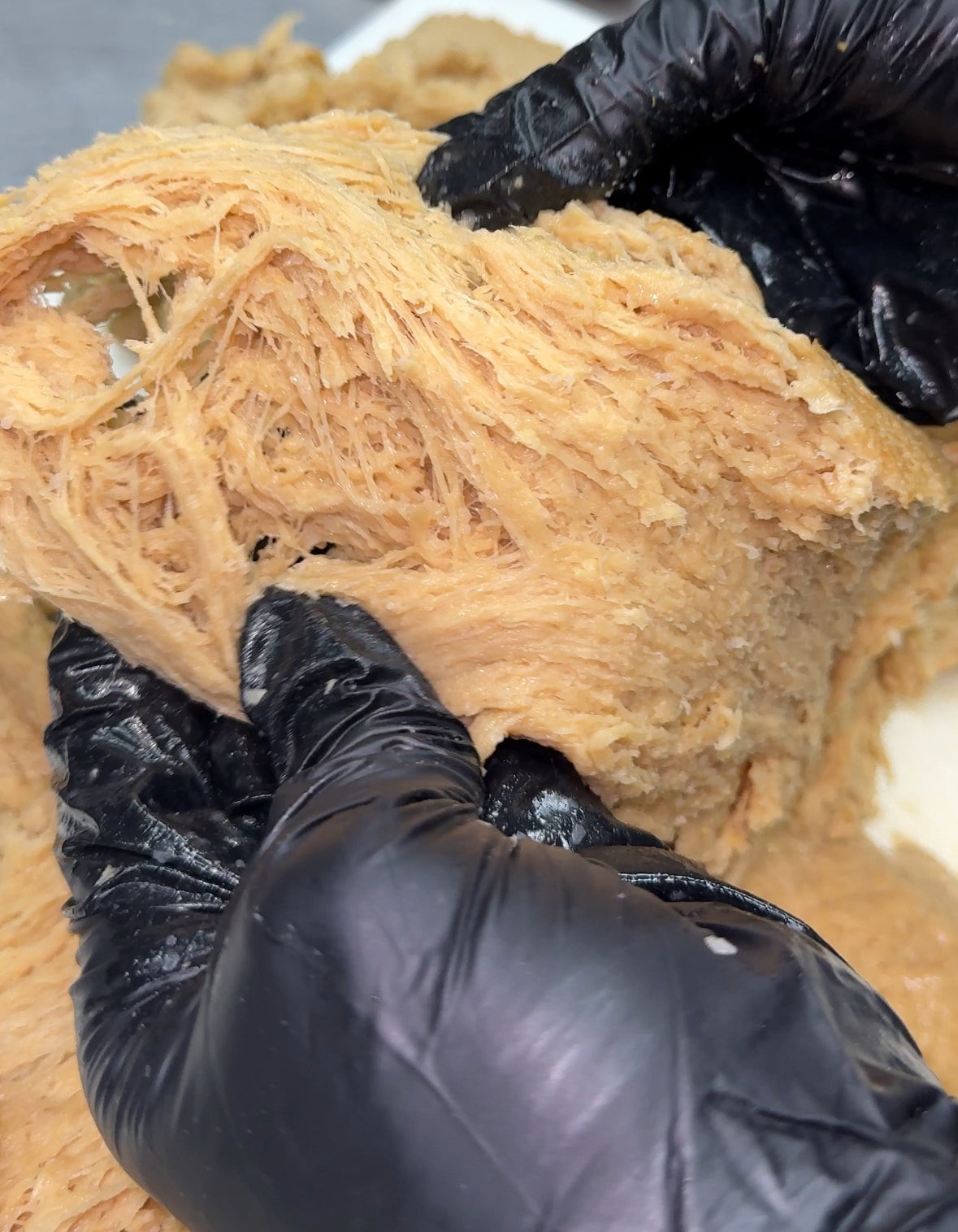 A Taste of Green Haus Foods